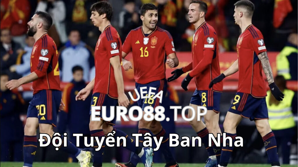 Tổng quan đội hình Tây Ban Nha Euro 2024