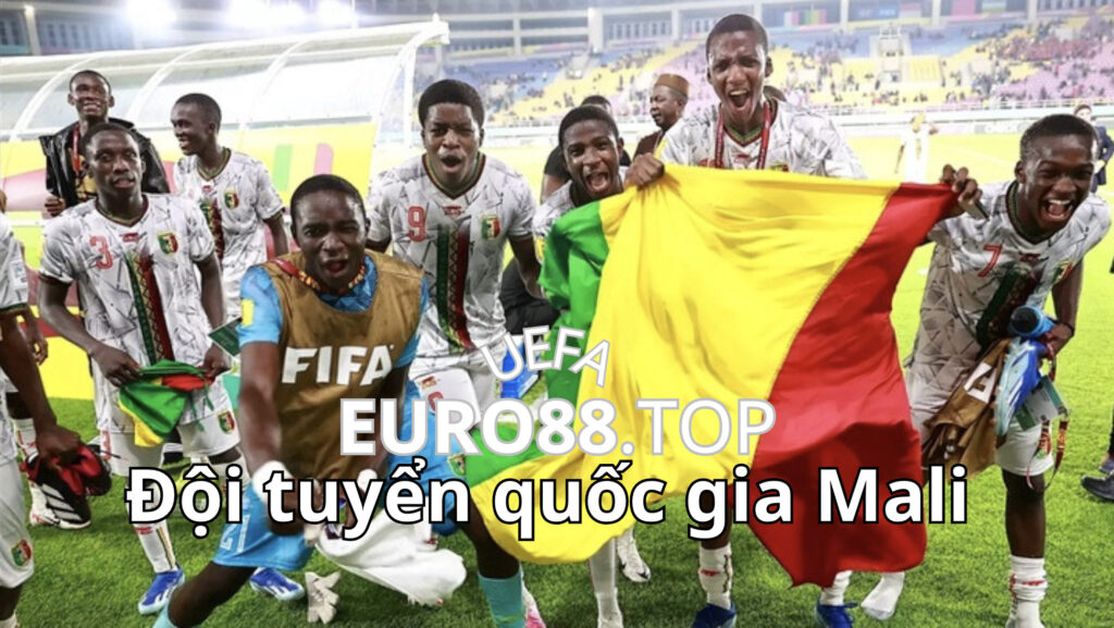 Sơ lược về đội tuyển quốc gia Mali