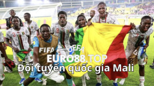 Sơ lược về đội tuyển quốc gia Mali 