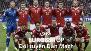 Thông tin tổng quan về đội tuyển Đan Mạch