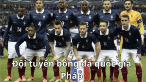 Thông tin tổng quan về đội tuyển bóng đá quốc gia Pháp